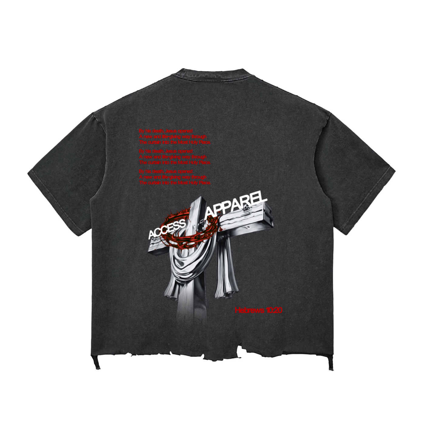 ACCESS SET "Hebrews 10:20" Boxy T-shirt