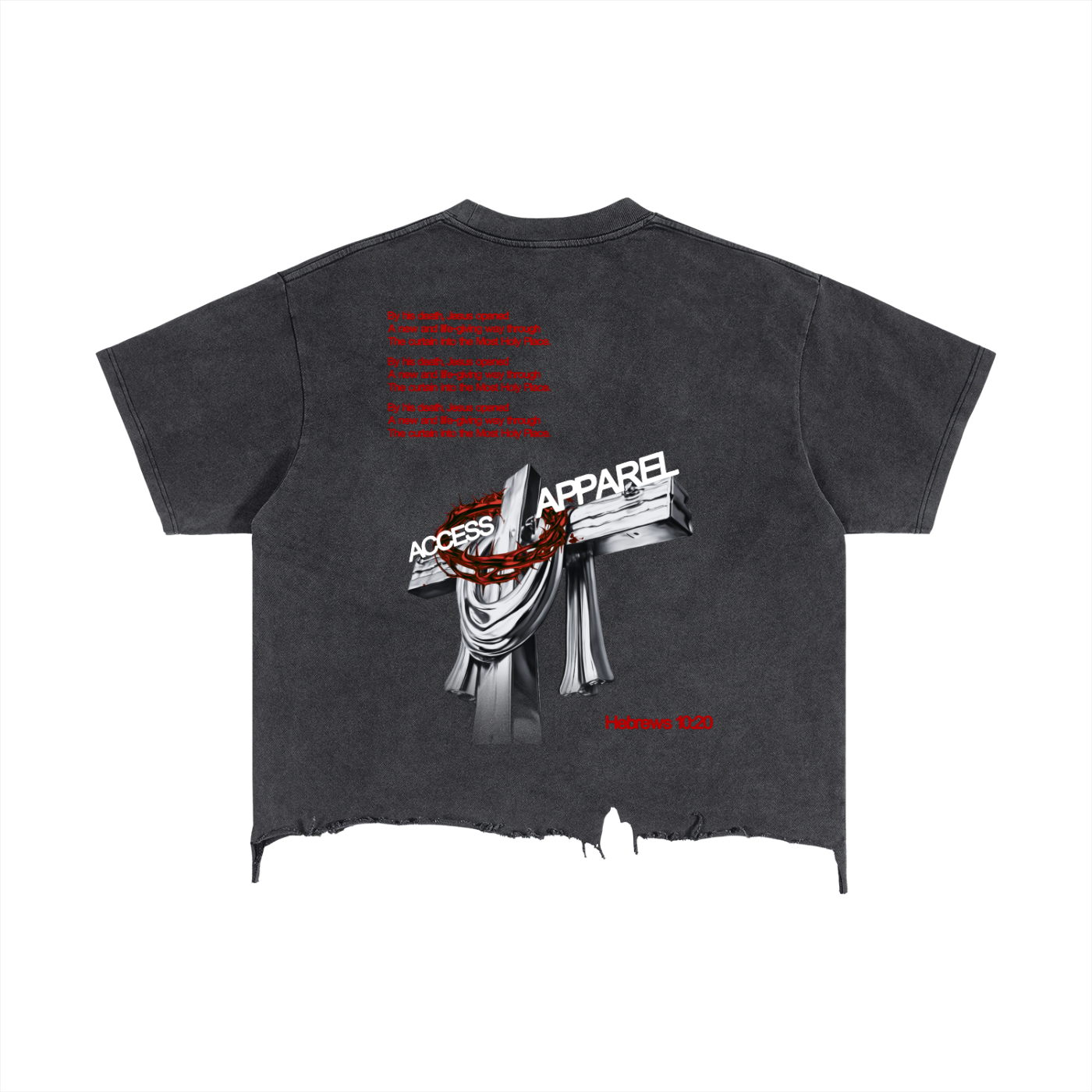 ACCESS SET "Hebrews 10:20" Boxy T-Shirt (Plus size)